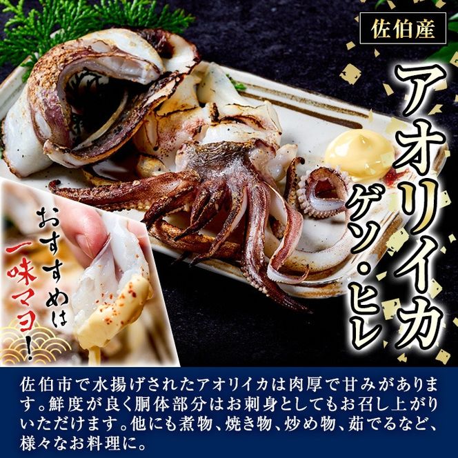 〈訳あり〉加熱用 アオリイカ(ゲソ・ヒレ) (計約1kg・3P～5P) 魚介 イカ 塩焼き 冷凍 おつまみ 海鮮 海の直売所 大分県 佐伯市【AS145】【海べ (株)】