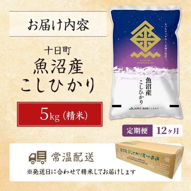 【12ヶ月定期便】魚沼産こしひかり(十日町地域) 精米 5kg 米 お米 コシヒカリ 定期 十日町市