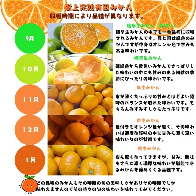 【先行予約】ご家庭用 完熟 有田みかん 7.7kg(7.5kg+200g(傷み補償分))