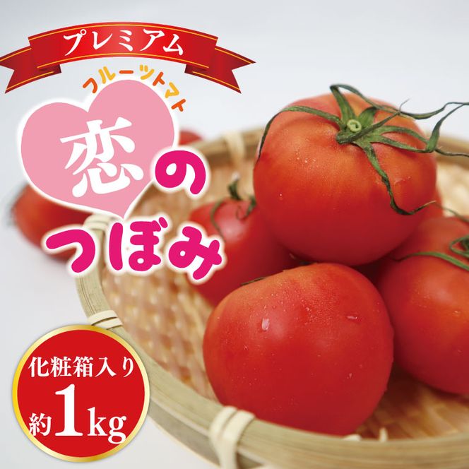 ★数量限定★JA フルーツトマト恋のつぼみプレミアム約1kg(化粧箱)｜トマト フルーツトマト プレミアム 化粧箱 贈り物 ギフト 恋のつぼみ 数量限定 野菜 茨城県 行方市(AE-7)