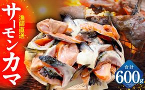 G3800 サーモン カマ 600g（約10-12切れ）【カマ 尻尾 小分け 海鮮 魚介 鮭 さけ しゃけ】