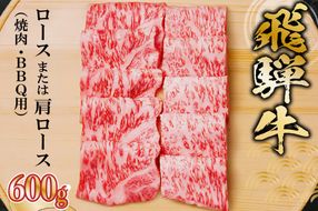 飛騨牛 ロースまたは肩ロース 600g (焼肉・BBQ用)【0091-007】