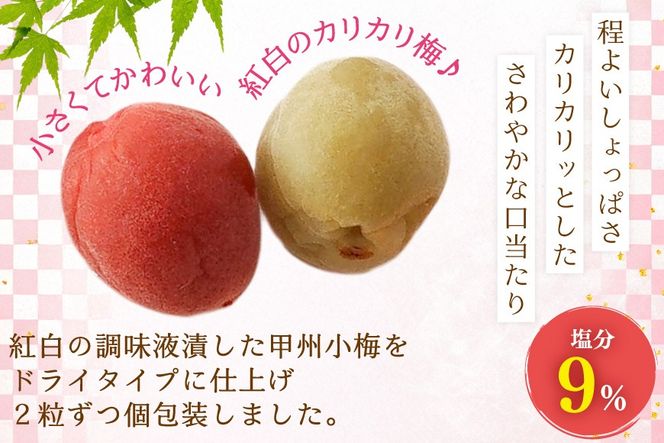 やばいだろ】粋な小梅 2粒×60 計120粒 [山梨農産食品 山梨県