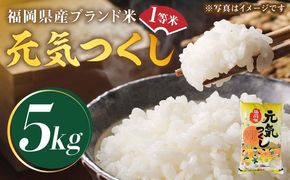 【令和5年産】福岡県産ブランド米「元気つくし」白米 5kg《築上町》【株式会社ゼロプラス】[ABDD001]