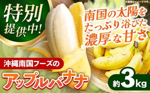 【特別提供中】 国産 希少種！南国フーズのアップルバナナ 約3kg - バナナ ばなな 小ぶり 沖縄県 産地直送 果物 フルーツ 南国 朝食 おすすめ 沖縄県 八重瀬町【価格改定】