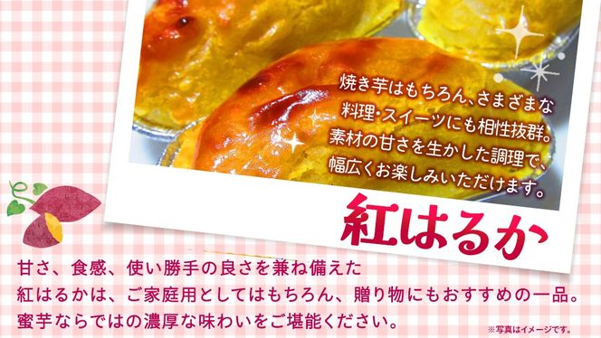 ＼選べる発送方法／ 紅はるか 約 2.5kg （茨城県共通返礼品 [さつまいも]：行方市産） 単品（1回）・定期便（3回 / 6回） べにはるか さつまいも 生芋 芋 サツマイモ 甘い 焼き芋 スイートポテト ねっとり 茨城県産 お取り寄せ 野菜 根菜 いも