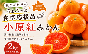 東かがわ市のちょこっと食卓応援品「小原紅みかん 2kg」