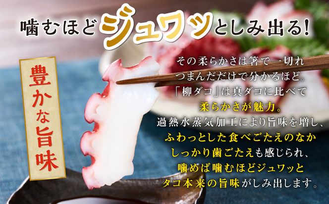 北海道旨味たこ【1.0kg以上×足のみ】