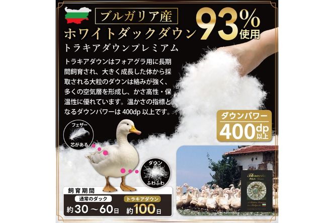 【春夏用】洗える！ 羽毛肌掛け布団 ダブル ホワイトダック93% ネイビー ダウンケット [川村羽毛 山梨県 韮崎市 20745033] 羽毛布団 布団 ふとん 羽毛 肌掛け 掛け布団 寝具 日本製 国産 抗菌防臭 無地 コインランドリー