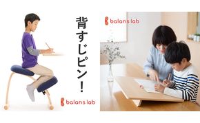 椅子 バランスイージー カバーなし イージーライティングボード L セット 選べる フレーム カラー