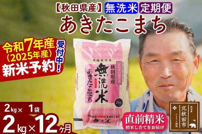 令和7年産《定期便12ヶ月》秋田県産 あきたこまち 2kg【無洗米】(2kg小分け袋) 2025年産 お届け時期選べる お届け周期調整可能 隔月に調整OK お米 おおもり [おおもり 秋田 お米 あきたこまち 米どころ 東北 北秋田市 定期便 毎月お届け]|oomr-30112