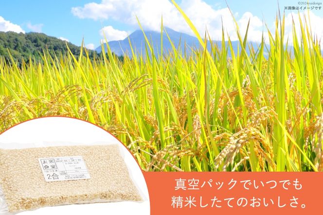 【真空パック】 一分づき 玄米 300g 3パック 計 900g [お米食堂 富山県 舟橋村 57050186] お米 米 こめ コメ ごはん 真空 パック 備蓄 長期保存