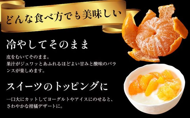 【CF】＜先行予約＞ 蔵出し熟成みかん『極』2箱 《2月中旬-2月末頃出荷予定》みかん ミカン 蜜柑 mikan 貯蔵 柑橘 佐那河内 さなごうち 徳島県 箱入り 化粧箱 S M L フルーツ 果物 くだもの 贈答 進物 ---sanagouchi_lcl_22_2hk---