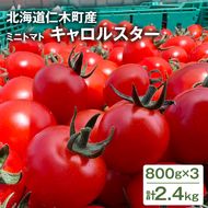 [2026年発送] 北海道 仁木町産 ミニトマト キャロルスター 2.4kg （96粒～150粒）トマト 野菜 国産 プチトマト 甘み 使いやすい サラダ お弁当 家庭用 子供に人気 リコピン [REDA FARM]
