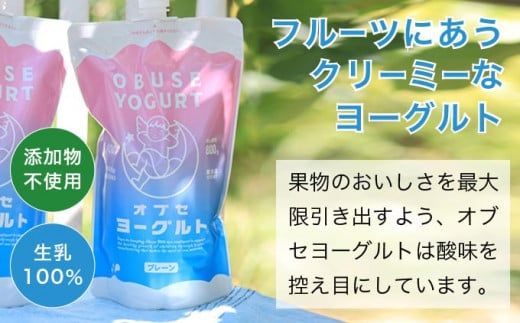 オブセヨーグルト (プレーン) 2個とオブセ牛乳 500ml 紙パック 2本 セット［オブセ牛乳］ 牛乳 ミルク 生乳 ヨーグルト 乳製品 食品  お取り寄せ グルメ 生乳100% 朝食 スイーツ おやつ 冷蔵 長野県小布施町産［G-43］