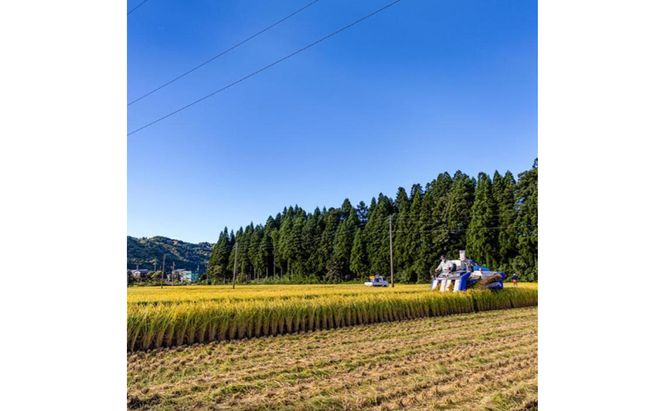 令和7年産！魚沼産コシヒカリ【農家直送!】 10kg×2袋 お米 米 コメ 