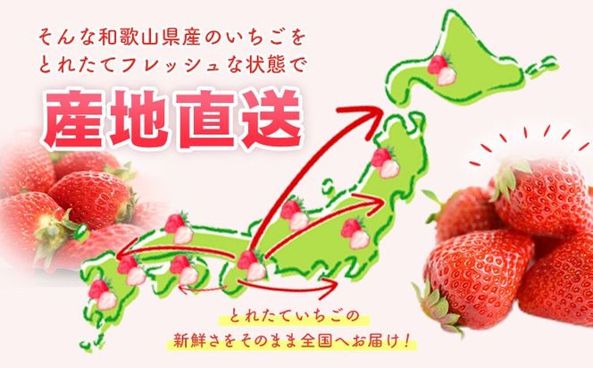 【先行予約】紀州和歌山県ブランドいちご「まりひめ」約250g×4パック 計1kg 株式会社魚鶴商店《2027年3月上旬-3月下旬頃出荷》和歌山県 日高町 いちご 苺 まりひめ フルーツ 果物 スイーツ 送料無料 ---wsh_cuot219_3j3g_25_20000_4p---