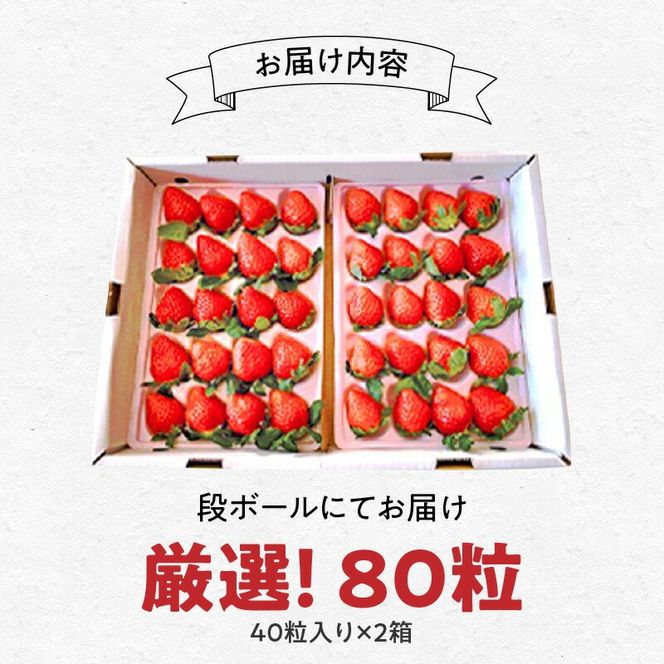 【田口ファミリーファーム】いちご(さがほのか) 40粒入り×2箱(1月中旬発送開始) N053-YB337