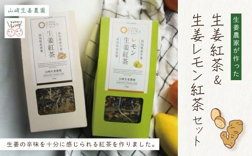 [ 山﨑生姜農園 ] 生姜農家 が作った 生姜紅茶 & 生姜レモン紅茶 セット ティーパック 茶葉 お茶 紅茶 生姜 しょうが ショウガ ジンジャー レモン れもん おいしい ドリンク 飲料 高知県 高知 四万十市 四万十 しまんと 25-329