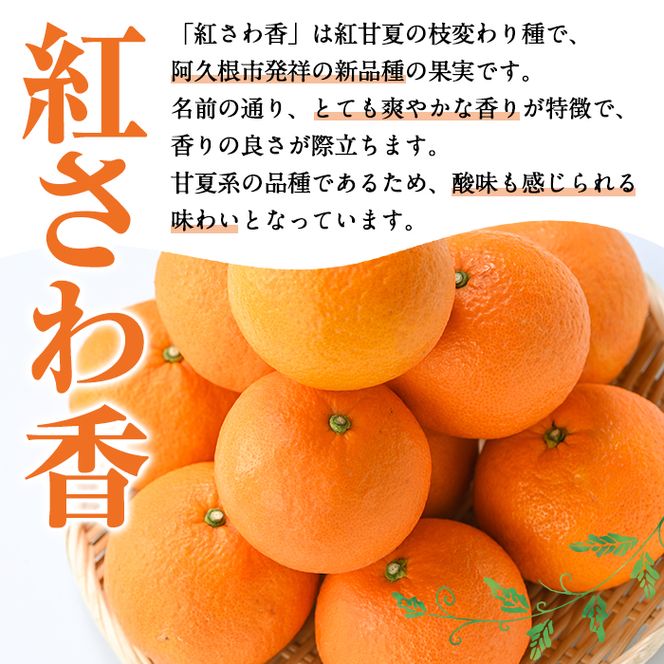 ＜先行予約受付中！2027年1月上旬以降順次発送予定＞数量限定！紅さわ香(10kg) 国産 鹿児島県 阿久根市 果実 果物 フルーツ 柑橘 紅甘夏 みかん ミカン 期間限定 数量限定【桐野柑橘株式会社】akn070-03