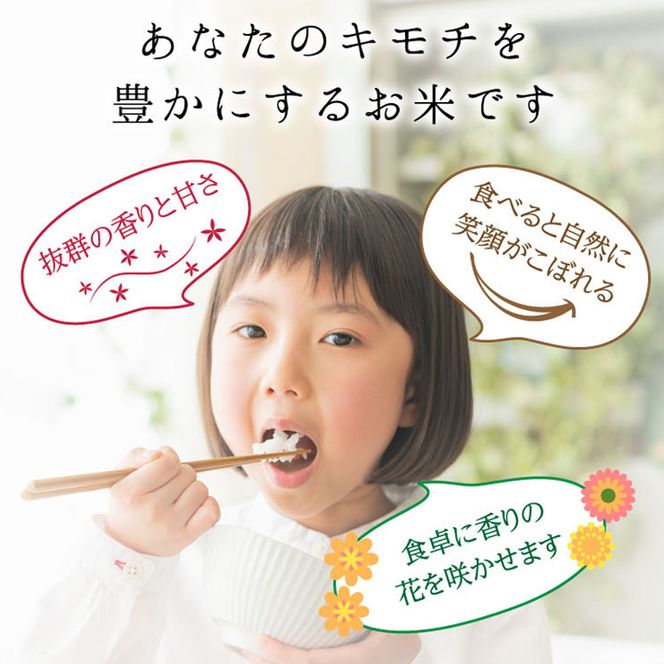 【6回定期】特別栽培米 コシヒカリ ヒロシノキモチ 無洗米 5kg 総計30kg 陽咲玲 米 お米 コメ 無洗米 ご飯 ごはん 富山県産 富山県 立山町 F6T-997