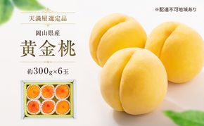 【天満屋選定品】岡山県産 黄金桃（約300g×6玉）2026年発送