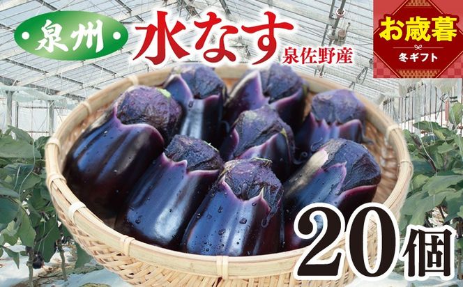 099H4104o 【お歳暮対応】泉州 泉佐野市産 ハウス水なす 20個【茄子 泉佐野産 とれたて 新鮮野菜 やさい 高評価】