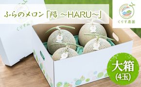 【2026年7月上旬より順次発送】ふらのメロン「陽 ～HARU～」大箱(8kg以上：大玉×4玉) ( 赤肉 )( くりす農園 )