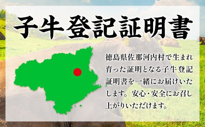 大川原高原牛 特選ロース 3kg 冷凍便 肉の藤原 《60日以内に出荷予定(土日祝除く)》│ 和牛 希少 大川原高原 牛肉 ロース 贅沢 バーベキュー BBQ キャンプ ギフト 贈答 徳島県 佐那河内村 ---sanagouchi_nfw_14_3kg---