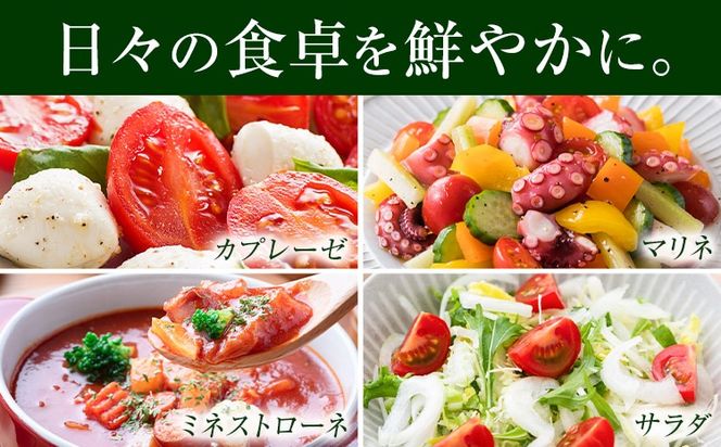 ミニトマト 約1kg 約2kg 約3kg 氷川アグリクラブ トマト 熊本《2月上旬-4月末頃出荷》熊本県 氷川町 野菜 熊本県産 サラダ プチトマト 国産---hkw_agrmt_af24_26_5000_1kg---