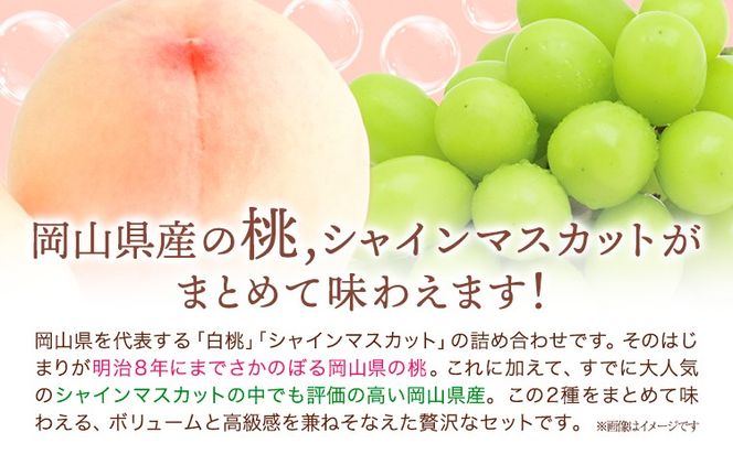 【2026年発送先行予約】桃・シャインマスカット詰め合わせ 約1kg クール便 冷蔵便 桃 もも 葡萄 ブドウ ぶどうシャインマスカット マスカット フルーツ セット 先行予約 晴れの国おかやま館 《2026年8月下旬-9月中旬頃出荷》 フルーツ 果物 果実 岡山県 矢掛町---ofn_chokms_h8_25_19500_10---
