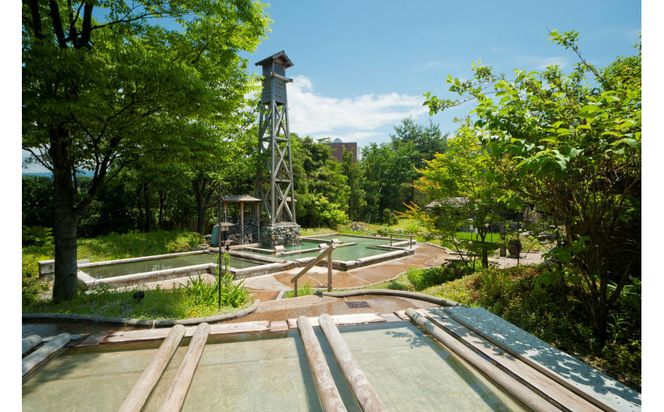 【能登半島地震復興支援】辰口温泉 たがわ龍泉閣「吉祥亭」ペアー宿泊券 172111_AP001