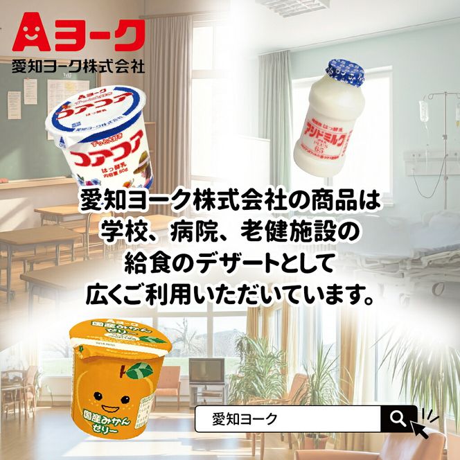 【3ヶ月定期便】愛知ヨーク　コアコアヨーグルト＆国産ゼリーセット　16個入［108A05-T］