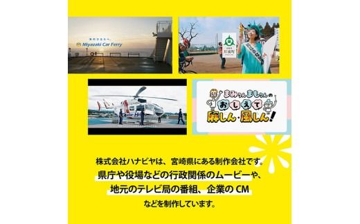 記録や記念にいかがですか？制作会社がつくるショートムービー（撮影なし） 【 記念 記録 映像制作 ショートムービー ハナビヤ 】 [C12401]