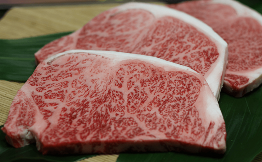 【定期便 6回】石垣島きたうち牧場プレミアムビーフ 詰め合わせ 牛肉 肉 定期 肉定期便 6ヶ月 6ヵ月 しゃぶしゃぶ ステーキ 切り落し 切り落とし 焼き肉 すき焼き サーロイン モモ 赤身 AM-17