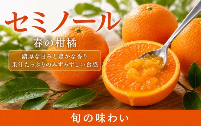 ジューシー柑橘　セミノールオレンジ　5kg【5月上旬～5月下旬頃発送予定】【uot869】
