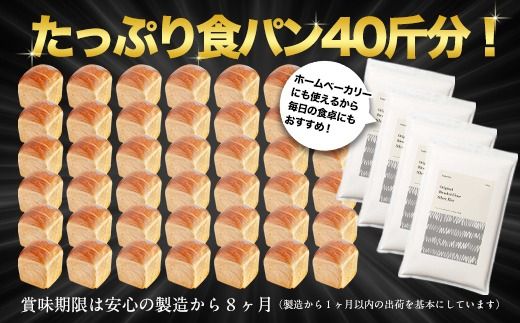 北海道産 はるゆたかブレンド小麦粉 シルバーライズ（パン用強力粉）10kg MROBI016