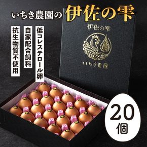 isa747 いちき農園の伊佐の雫(計20個) たまご 卵 平飼い 鶏 低コレステロール 抗生物質不使用 卵かけご飯 TKG 贈答用 プレゼント 【いちき農園】