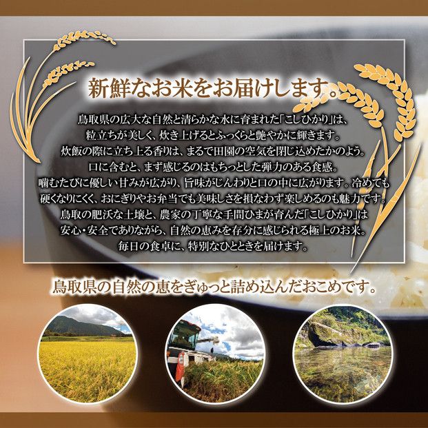 1109.令和7年産　こしひかり玄米　10kg 313726_CH004