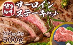 博多和牛サーロインステーキセット 500g (250g×2枚)／ 黒毛和牛 ステーキ 牛肉 福岡県 特産　DX005