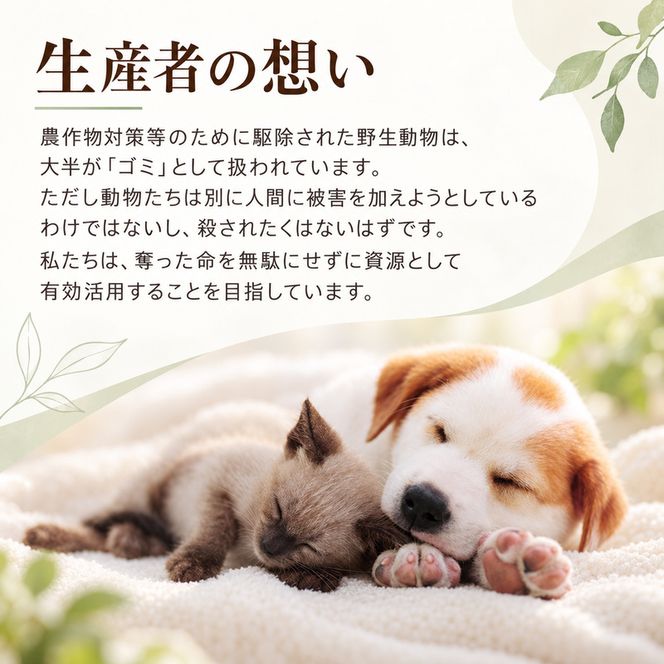 ペットフード KomoroPremium 鹿肉 ウエットフード 100g×30袋 犬 猫 ペット フード