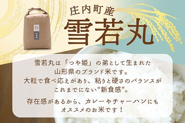 【新米受付】令和8年産 雪若丸 5kg 吉祥ファーム 5kg×1袋 2026年産 ブランド米 米 国産 単一原料米 山形 庄内平野 コシヒカリの原点、亀の尾発祥の地 庄内【R8.10月以降発送開始/入金期限：2026年9月15日】