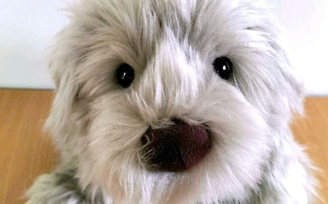 パトランミニ・グレージュ 糸島市 / 科学工房未来 パトラン ぬいぐるみ [AYI008] パトラン ぬいぐるみ 犬 いぬ ミニサイズ グレージュ ハンドメイド ペット