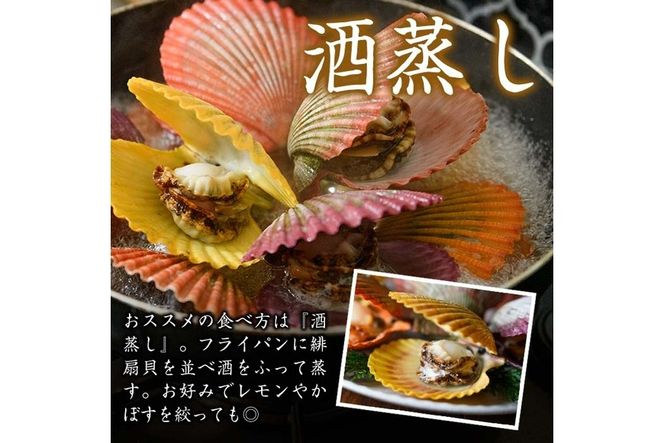 緋扇貝 (計18枚) 海鮮 ヒオウギ貝 BBQ バーベキュー 炭火焼 酒蒸し ご当地 国産 大分県 佐伯市産  屋形島で後藤さんが育てた緋扇貝 大分県 佐伯市【AX61】【後藤緋扇養殖販売】