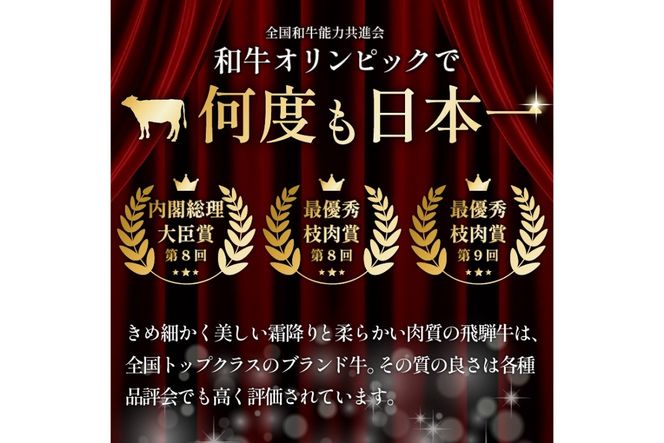 Ａ５等級　飛騨牛贅沢食べ比べセット　定期便　※4回に分けてのお届けとなります【0016-084】