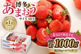 【先行予約】【アフター保証】4月発送！「博多あまおう」約250g×4パック【ほたるの里】_HA0526