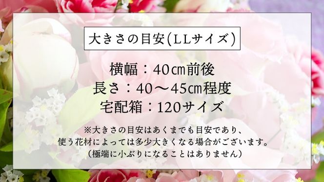 【 定期便 12か月 】季節の お花 の アレンジメント LL ギフト プレゼント 花 お祝い 贈答 記念日 フラワー  [CT144ci]