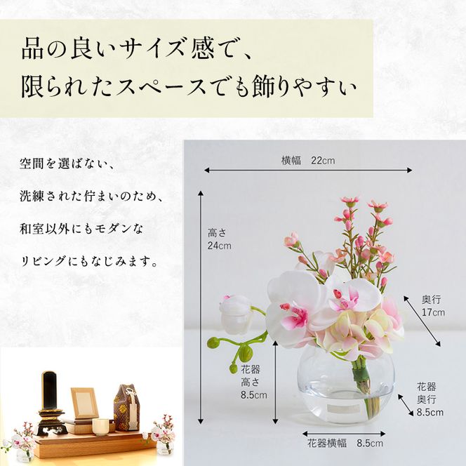 エミリオロバ　仏花セットB　ファレノプシスリップピンクS 2個セット