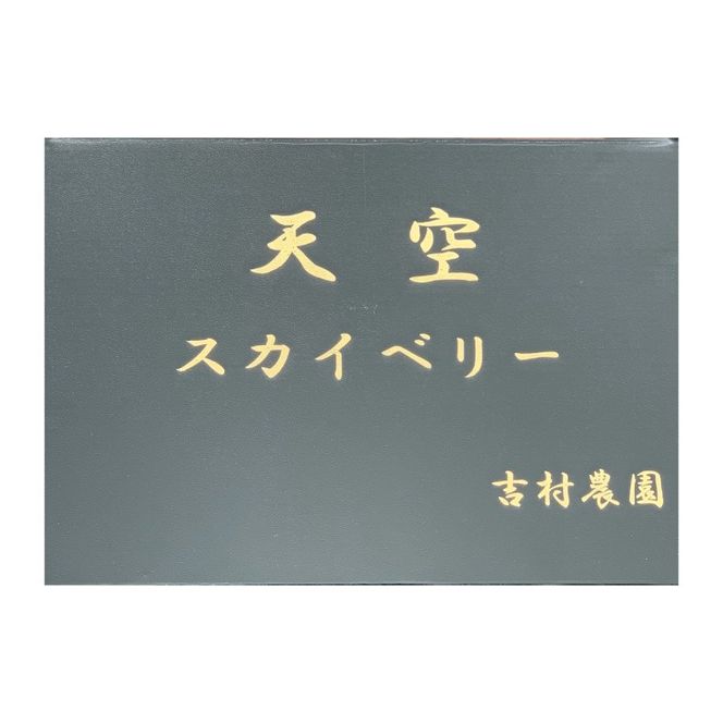 【2027年1月発送開始】【先行予約】【数量限定】大粒プレミアムいちご スカイベリー 12粒 (約400g) | 栃木県 ふるさと納税 高級いちご 贈答用 イチゴ 苺 果物 フルーツ スカイベリー 熟成 大粒いちご こだわり (DS004)