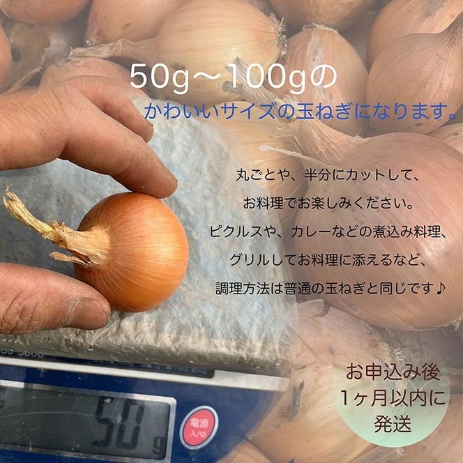 たまねぎ 10kg 自然栽培のかわいい玉ねぎ（小たまねぎ）京都府・亀岡産 かたもとオーガニックファームよりお届け ｜ 訳あり 玉葱 タマネギ 小さめ サイズ小 ※離島への発送不可